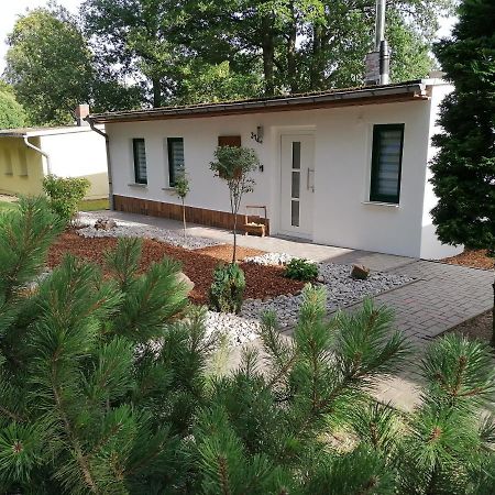 Ferienhaus Regina Neudorf  Экстерьер фото